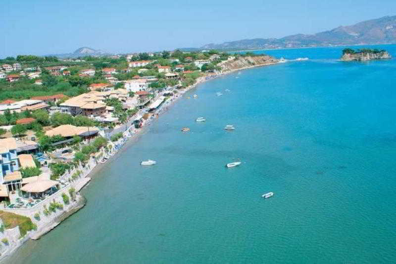 Turtle Agios Sostis (Zakynthos)